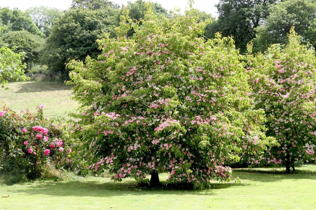 טוויסטוק Devon Country Paradise מראה חיצוני תמונה