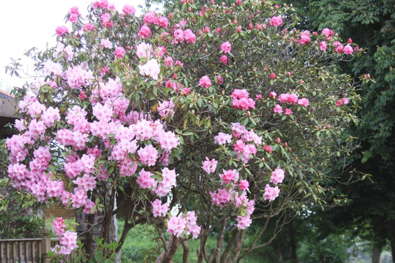 טוויסטוק Devon Country Paradise מראה חיצוני תמונה